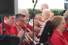 2019 Strawberry Faire - Playing the gig!