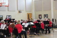 2019 Virginia Home - Concert